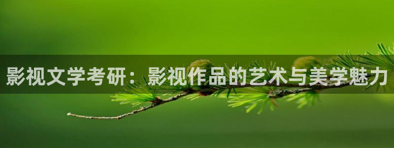 飘雪影院手机免费观看免费动漫：影视文学考研：影视作品的艺术与美学魅力