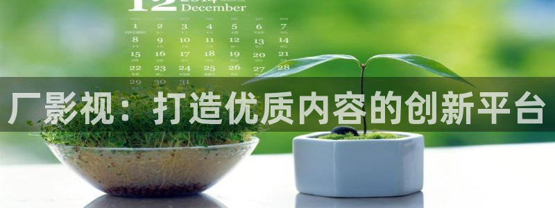 飘雪影院在线观看完整高清：厂影视：打造优质内容的创新平台