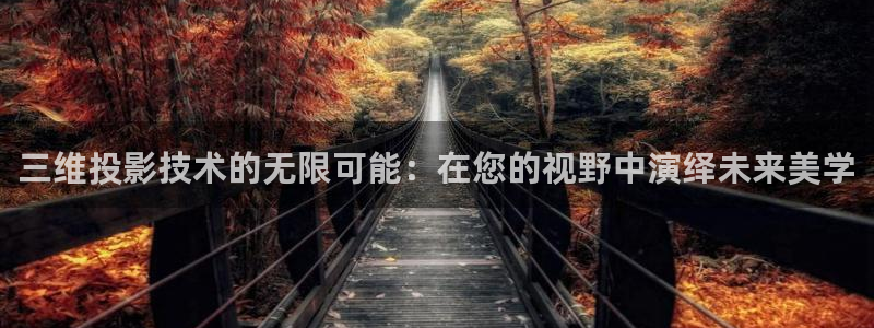 飘雪影院手机：三维投影技术的无限可能：在您的视野中演绎未来美学