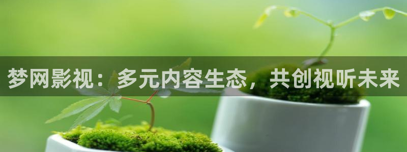 飘雪影院完整版在线观看视频：梦网影视：多元内容生态，共创视听未来