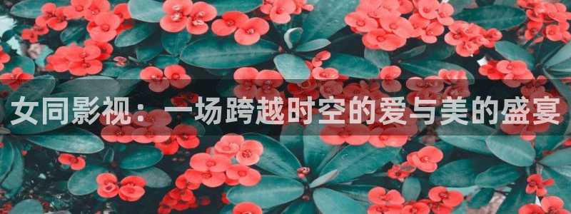 飘雪影院大全免费观看：女同影视：一场跨越时空的爱与美的盛宴