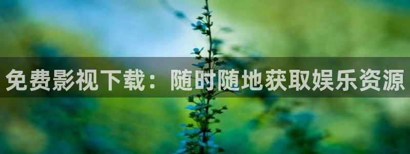 飘雪影院高清电影电视剧：免费影视下载：随时随地获取娱乐资源