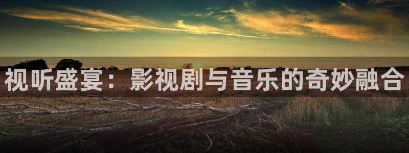 飘雪影院手机在线：视听盛宴：影视剧与音乐的奇妙融合