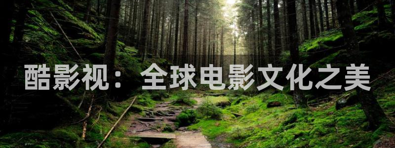 飘雪影院电影完整免费观看：酷影视：全球电影文化之美