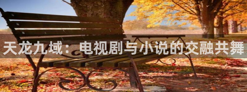 飘雪影院大全免费观看：天龙九域：电视剧与小说的交融共舞